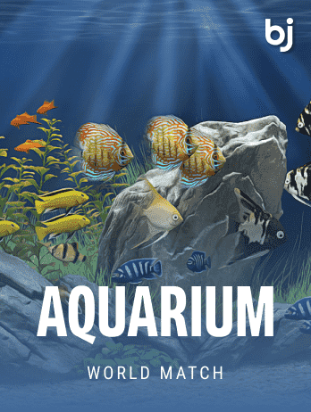 Aquarium thumbnail